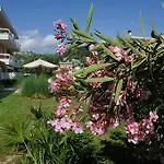 Le Palme Apart-hotel Grottammare