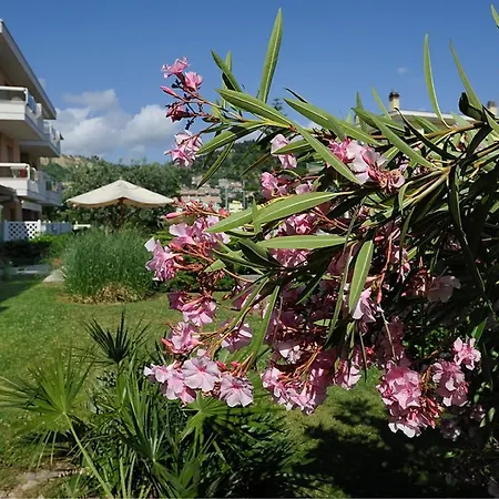 Le Palme Ξενοδοχείο με διαμερίσματα Grottammare